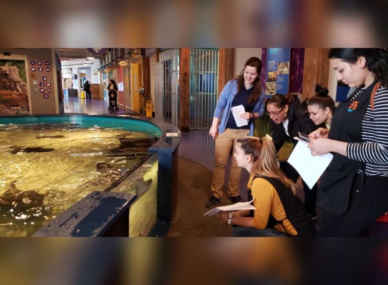 Parent Scholars participating in a STEM education workshop at The Maritime Aquarium (Photo Credit: Maritime Odyssey Preschool)